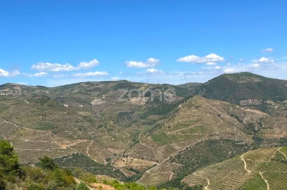 Terreno para Venda em Castanheiro do Sul