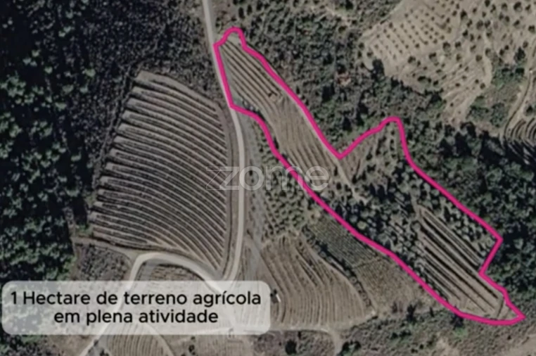 Terreno para Venda em Castanheiro do Sul Foto 13