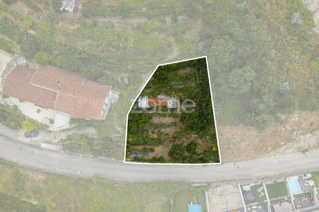 Terreno para Venda em Lomar e Arcos Foto 1