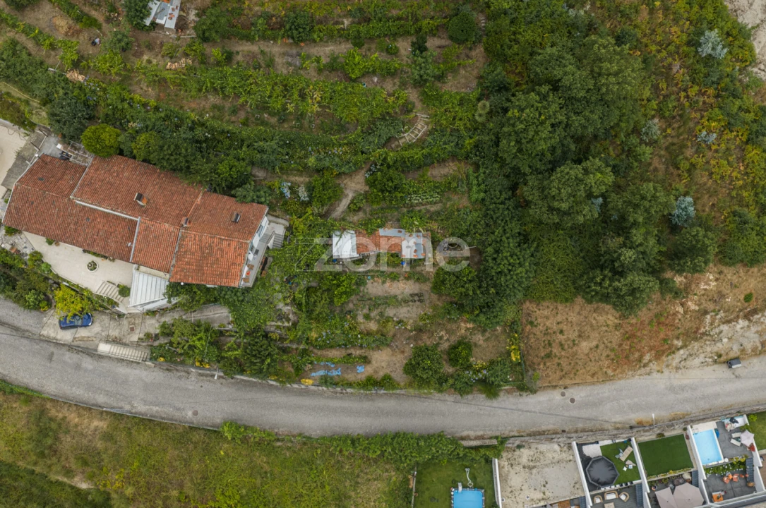Terreno para Venda em Lomar e Arcos Foto 3