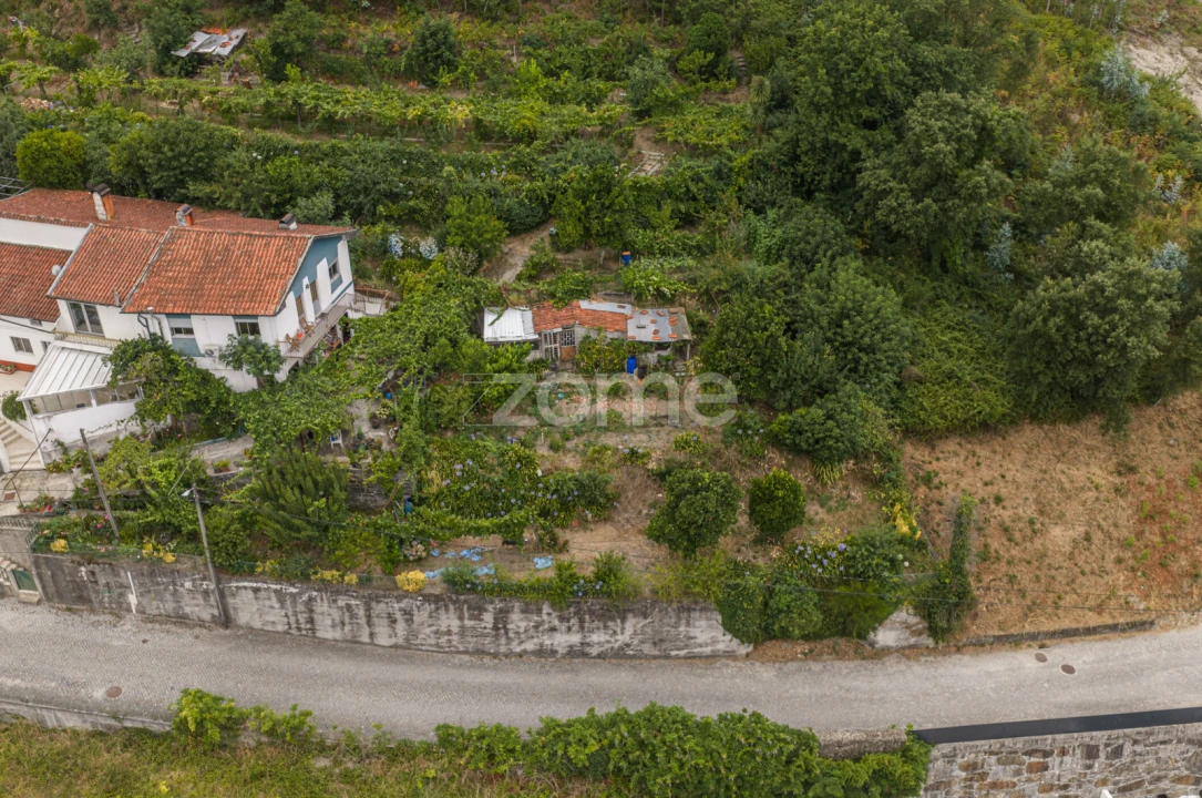 Terreno para Venda em Lomar e Arcos Foto 7