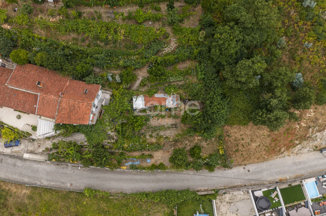 Terreno para Venda em Lomar e Arcos Foto 8