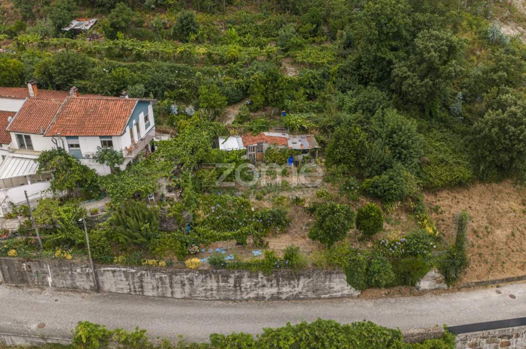 Terreno para Venda em Lomar e Arcos Foto 18