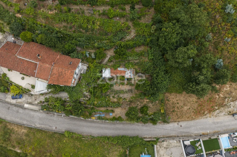 Terreno para Venda em Lomar e Arcos Foto 2