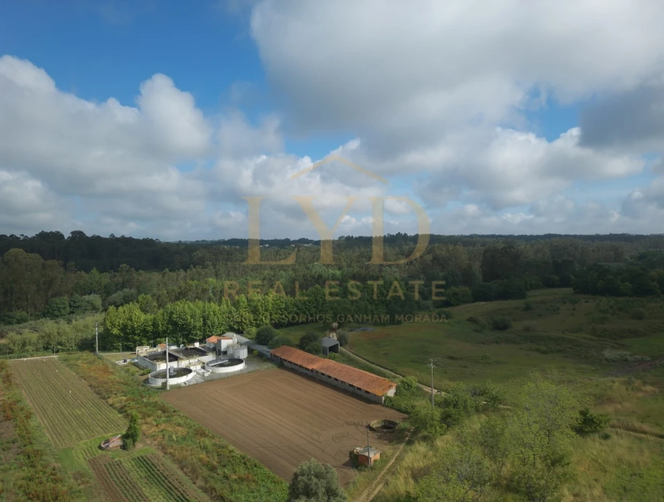 Armazém para Venda em Amoreira da Gândara, Paredes do Bairro e Ancas Foto 1