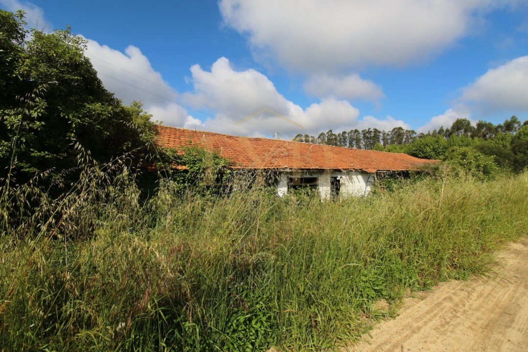 Armazém para Venda em Amoreira da Gândara, Paredes do Bairro e Ancas Foto 6