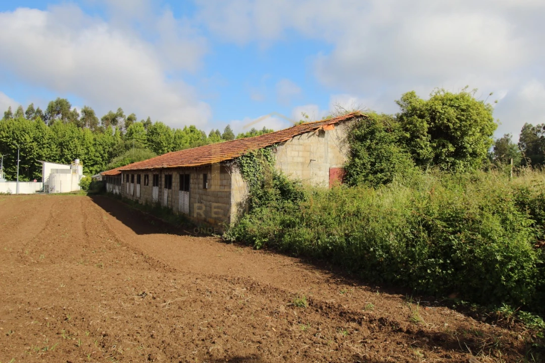 Armazém para Venda em Amoreira da Gândara, Paredes do Bairro e Ancas Foto 7