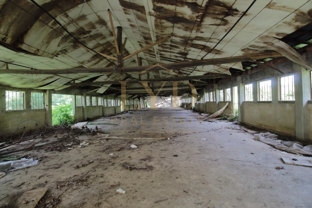 Armazém para Venda em Amoreira da Gândara, Paredes do Bairro e Ancas Foto 12