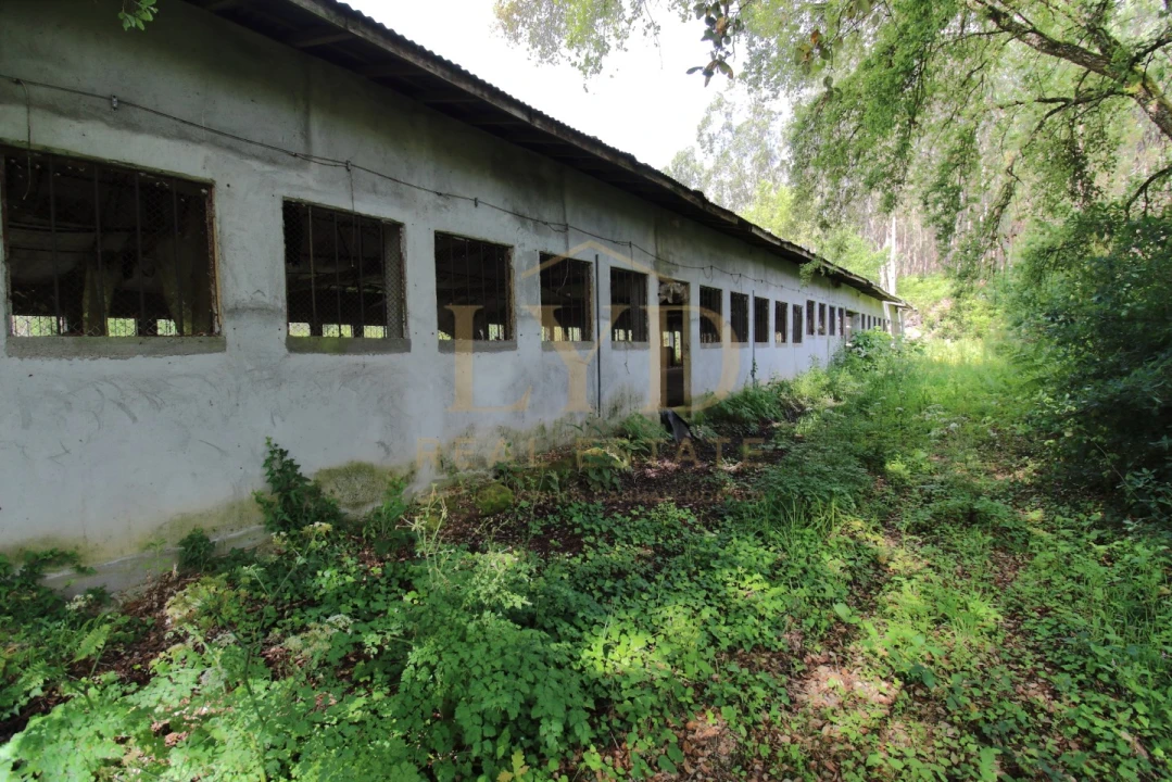 Armazém para Venda em Amoreira da Gândara, Paredes do Bairro e Ancas Foto 13