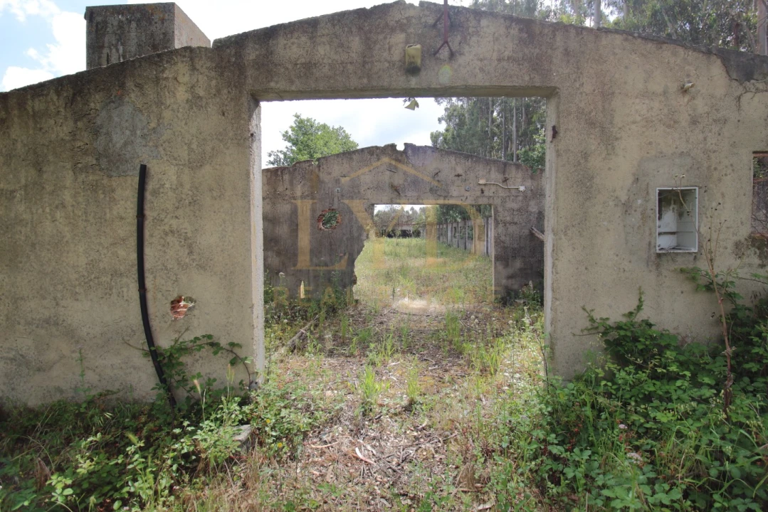 Armazém para Venda em Amoreira da Gândara, Paredes do Bairro e Ancas Foto 15