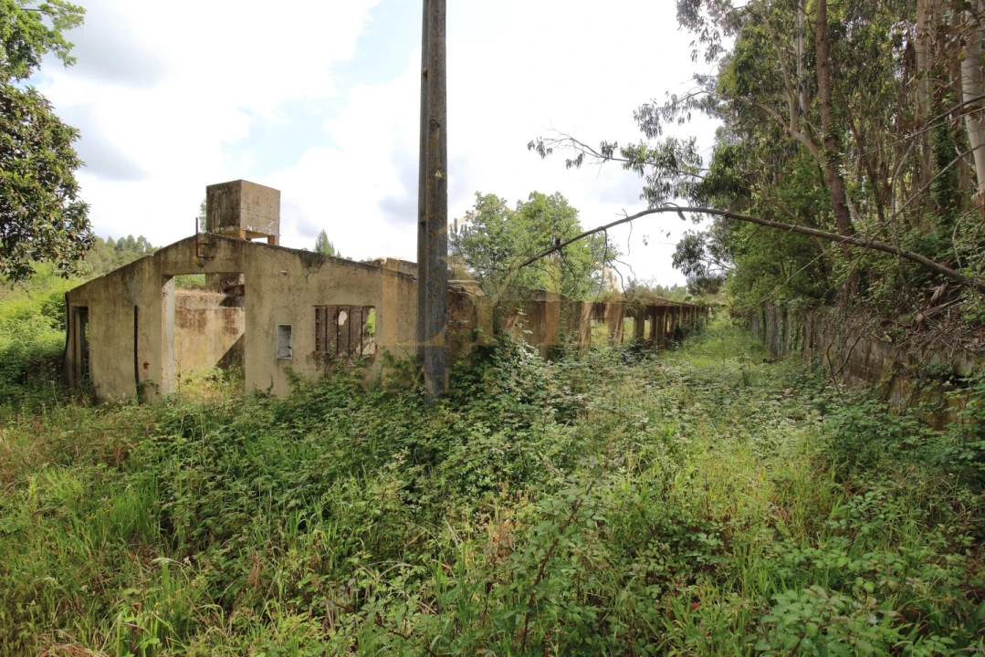 Armazém para Venda em Amoreira da Gândara, Paredes do Bairro e Ancas Foto 16
