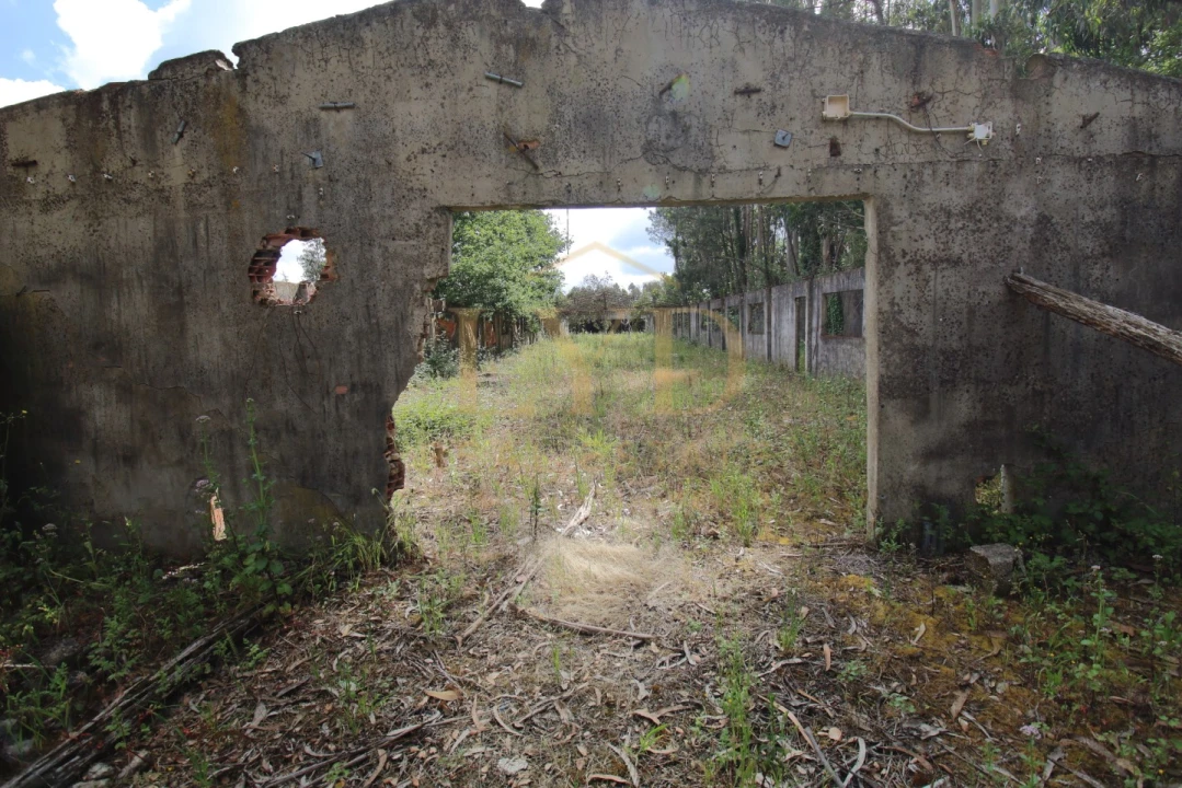 Armazém para Venda em Amoreira da Gândara, Paredes do Bairro e Ancas Foto 18