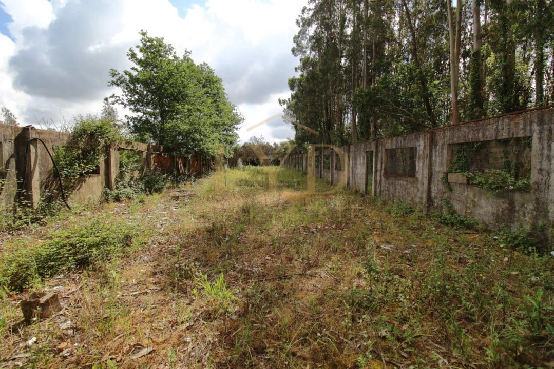Armazém para Venda em Amoreira da Gândara, Paredes do Bairro e Ancas Foto 20