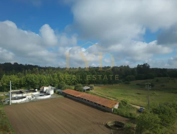 Armazém para Venda em Amoreira da Gândara, Paredes do Bairro e Ancas