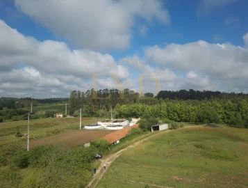 Armazém para Venda em Amoreira da Gândara, Paredes do Bairro e Ancas