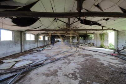 Armazém para Venda em Amoreira da Gândara, Paredes do Bairro e Ancas