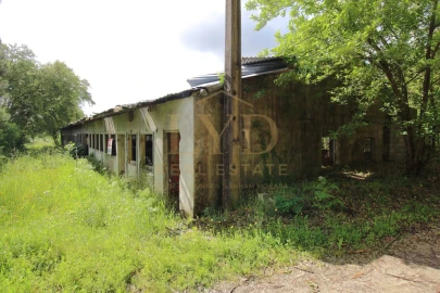 Armazém para Venda em Amoreira da Gândara, Paredes do Bairro e Ancas