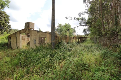 Armazém para Venda em Amoreira da Gândara, Paredes do Bairro e Ancas