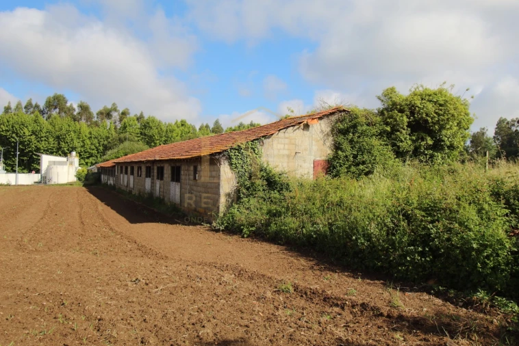 Armazém para Venda em Amoreira da Gândara, Paredes do Bairro e Ancas Foto 7