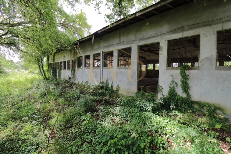 Armazém para Venda em Amoreira da Gândara, Paredes do Bairro e Ancas Foto 14
