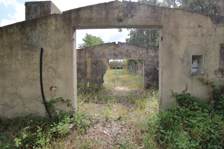 Armazém para Venda em Amoreira da Gândara, Paredes do Bairro e Ancas Foto 15