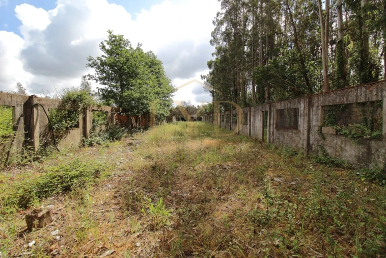 Armazém para Venda em Amoreira da Gândara, Paredes do Bairro e Ancas Foto 19
