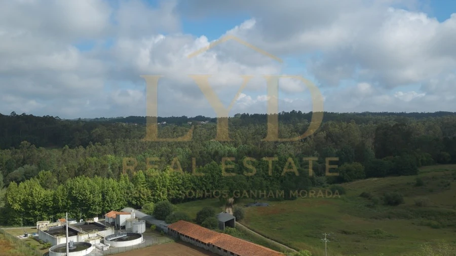 Armazém para Venda em Amoreira da Gândara, Paredes do Bairro e Ancas
