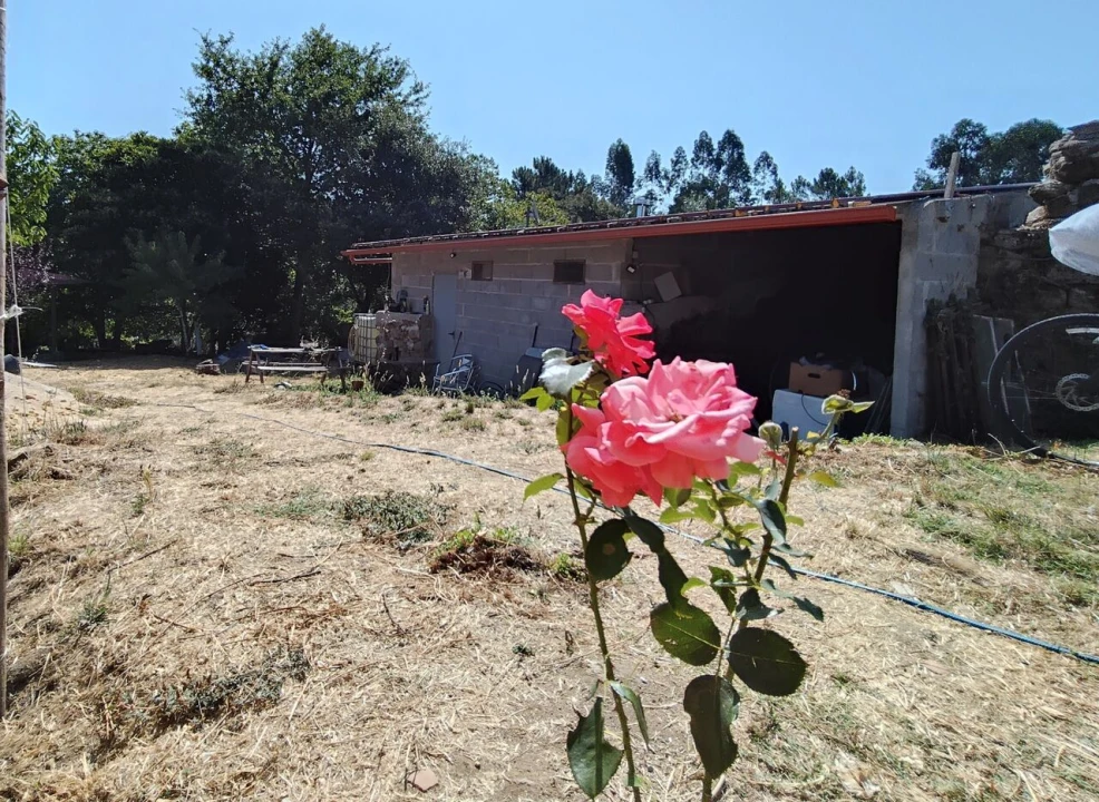 Quinta T3 para Venda em Maçãs de D. Maria Foto 15