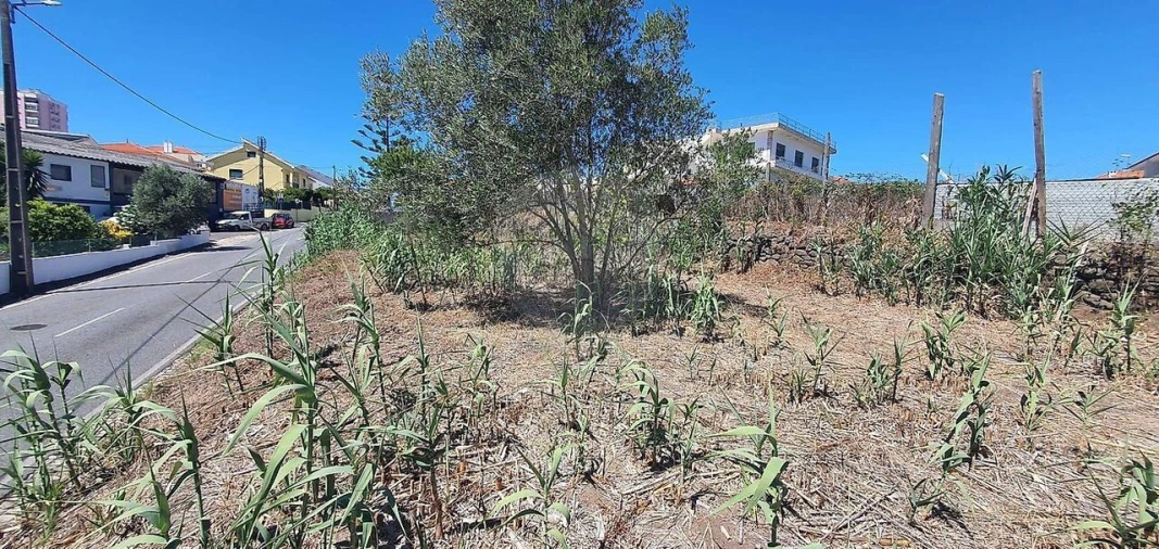 Terreno para Venda em Cacém e São Marcos Foto 12