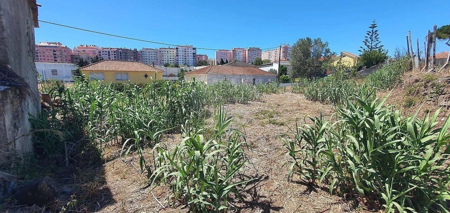 Terreno para Venda em Cacém e São Marcos Foto 11