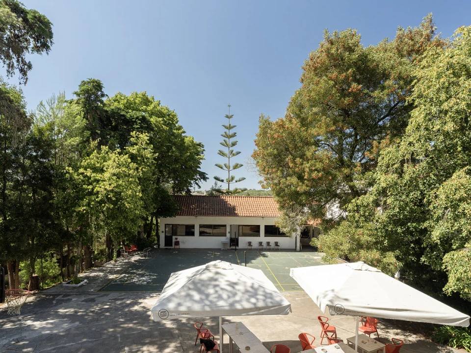 Moradia T10 para Venda em Santa Maria e São Miguel, São Martinho, São Pedro Penaferrim Foto 6