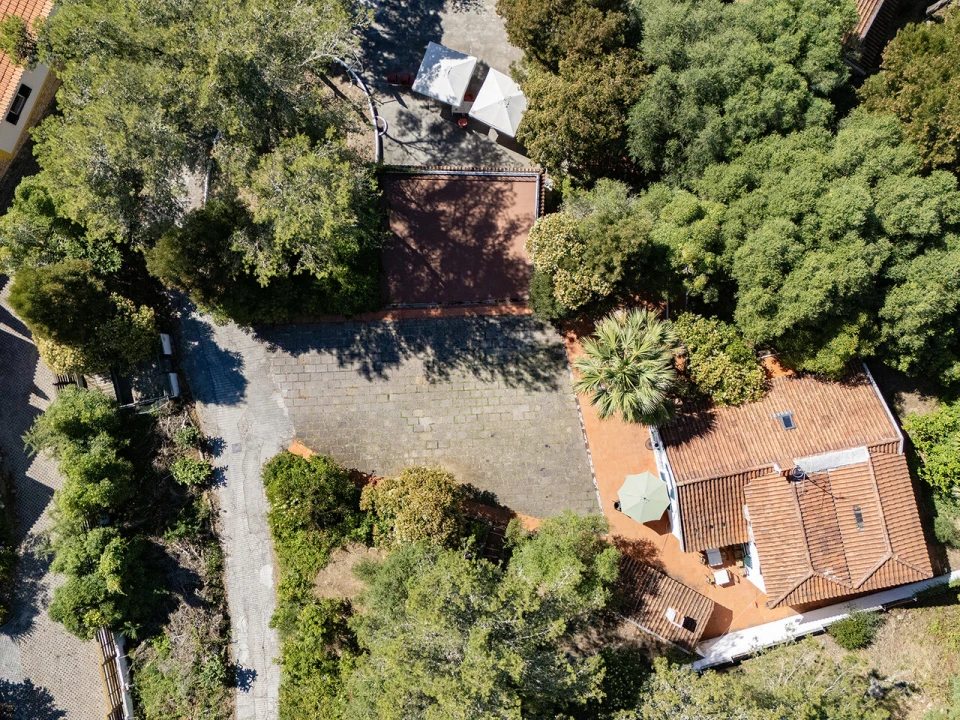 Moradia T10 para Venda em Santa Maria e São Miguel, São Martinho, São Pedro Penaferrim Foto 12