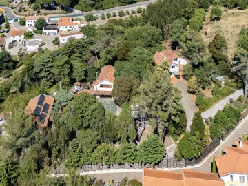 Moradia T10 para Venda em Santa Maria e São Miguel, São Martinho, São Pedro Penaferrim