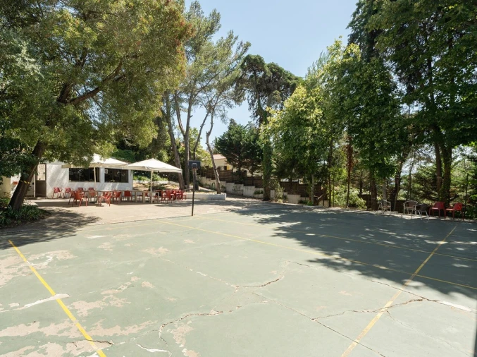 Moradia T10 para Venda em Santa Maria e São Miguel, São Martinho, São Pedro Penaferrim Foto 30