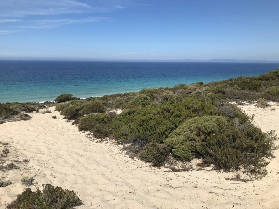 Apartamento T1 para Venda em Porto Covo Foto 16