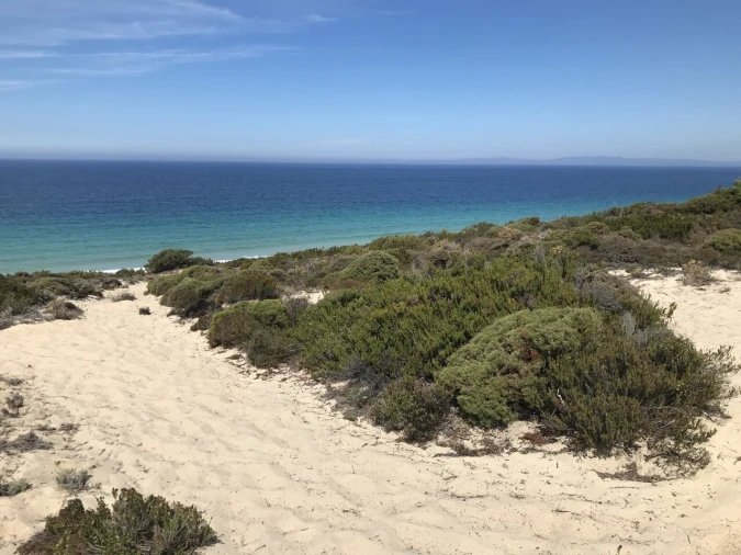 Apartamento T1 para Venda em Porto Covo Foto 16