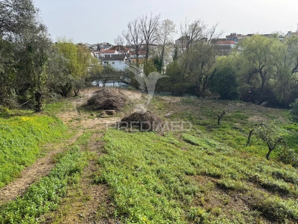Moradia T3 para Venda em Torres Novas (São Pedro), Lapas e Ribeira Branca Foto 9