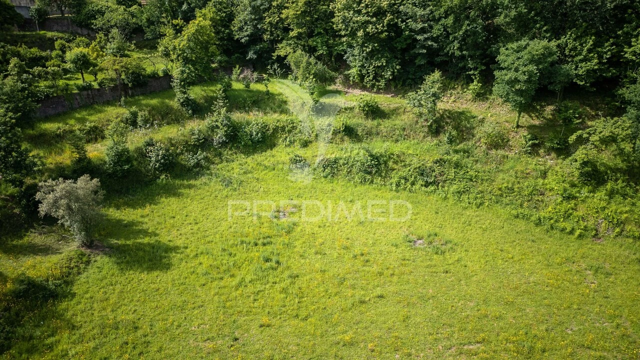 Terreno para Venda em Rio Caldo Foto 12