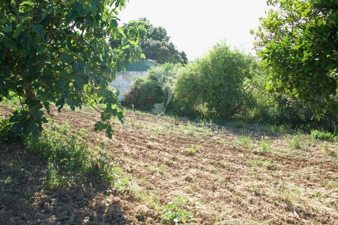 Moradia T3 para Venda em São Vicente do Paul e Vale de Figueira Foto 37