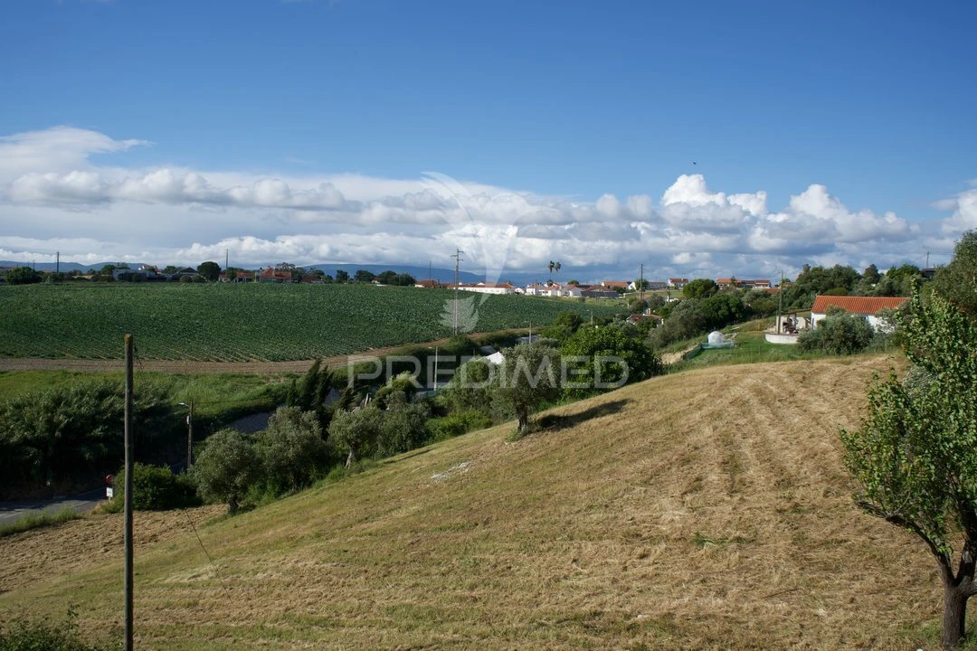 Moradia T3 para Venda em São Vicente do Paul e Vale de Figueira Foto 38