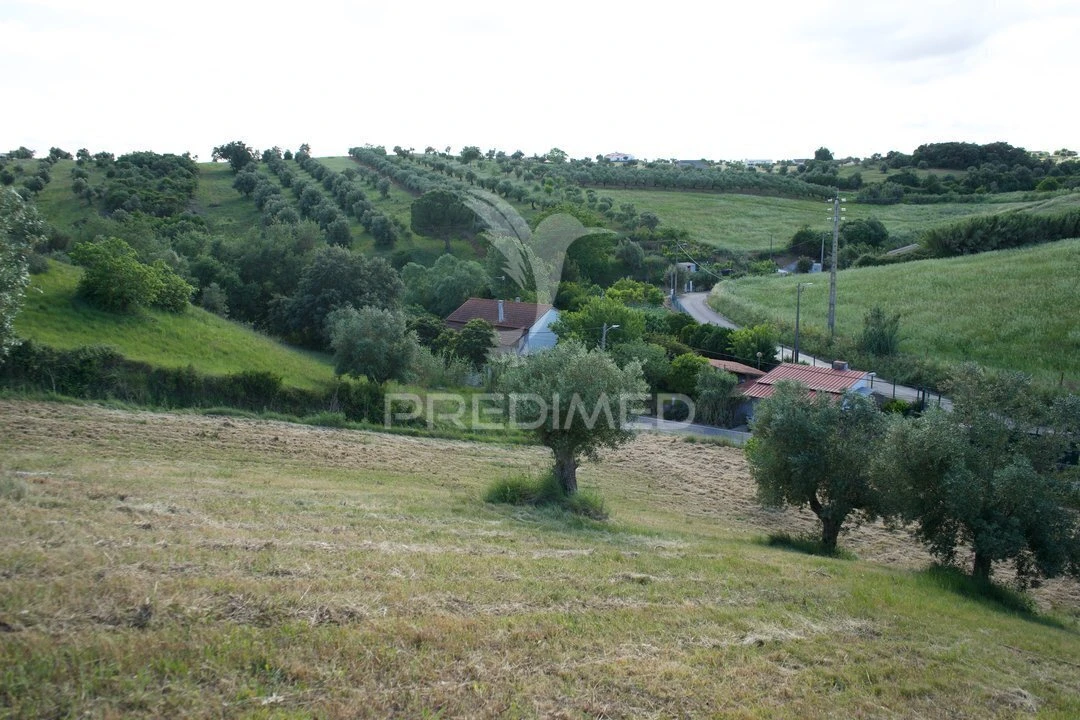 Moradia T3 para Venda em São Vicente do Paul e Vale de Figueira Foto 40