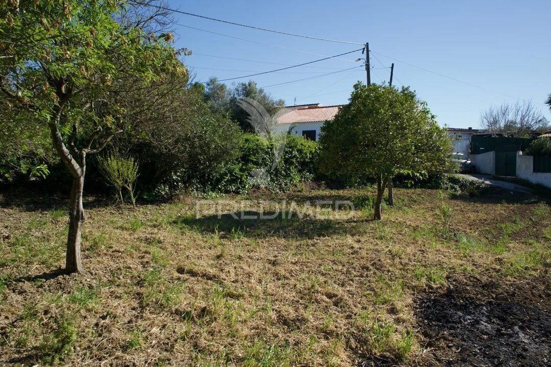 Moradia T3 para Venda em São Vicente do Paul e Vale de Figueira Foto 6