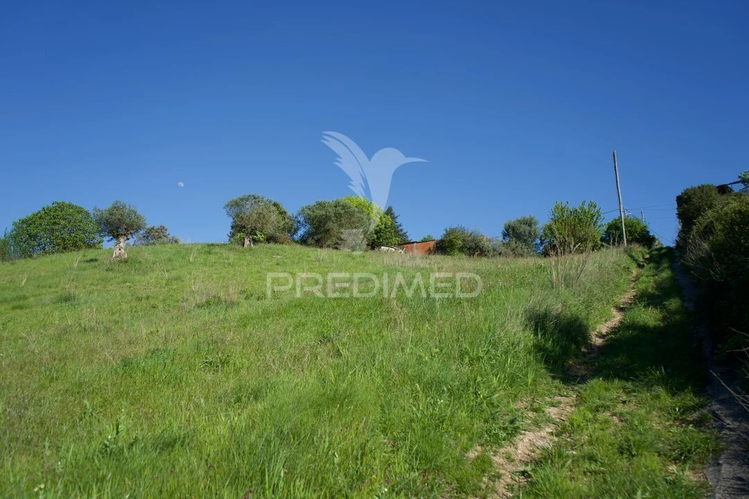 Moradia T3 para Venda em São Vicente do Paul e Vale de Figueira Foto 33