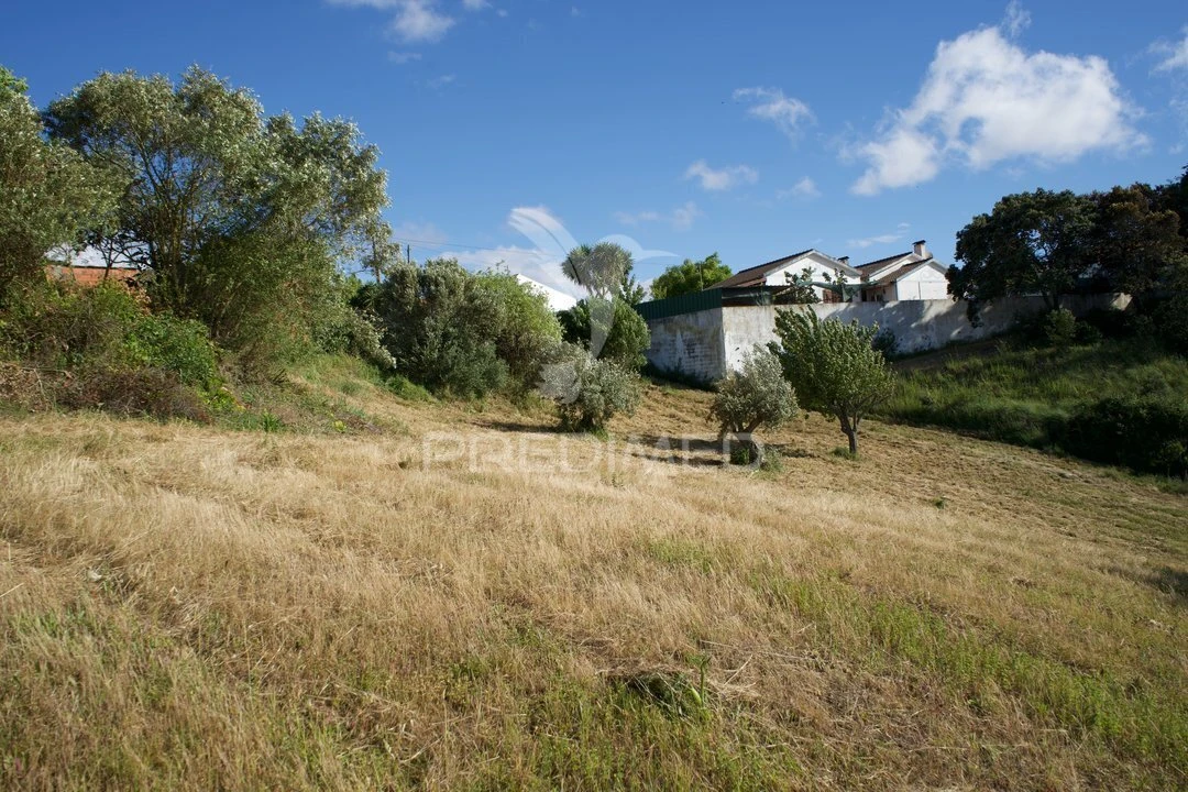 Moradia T3 para Venda em São Vicente do Paul e Vale de Figueira Foto 39