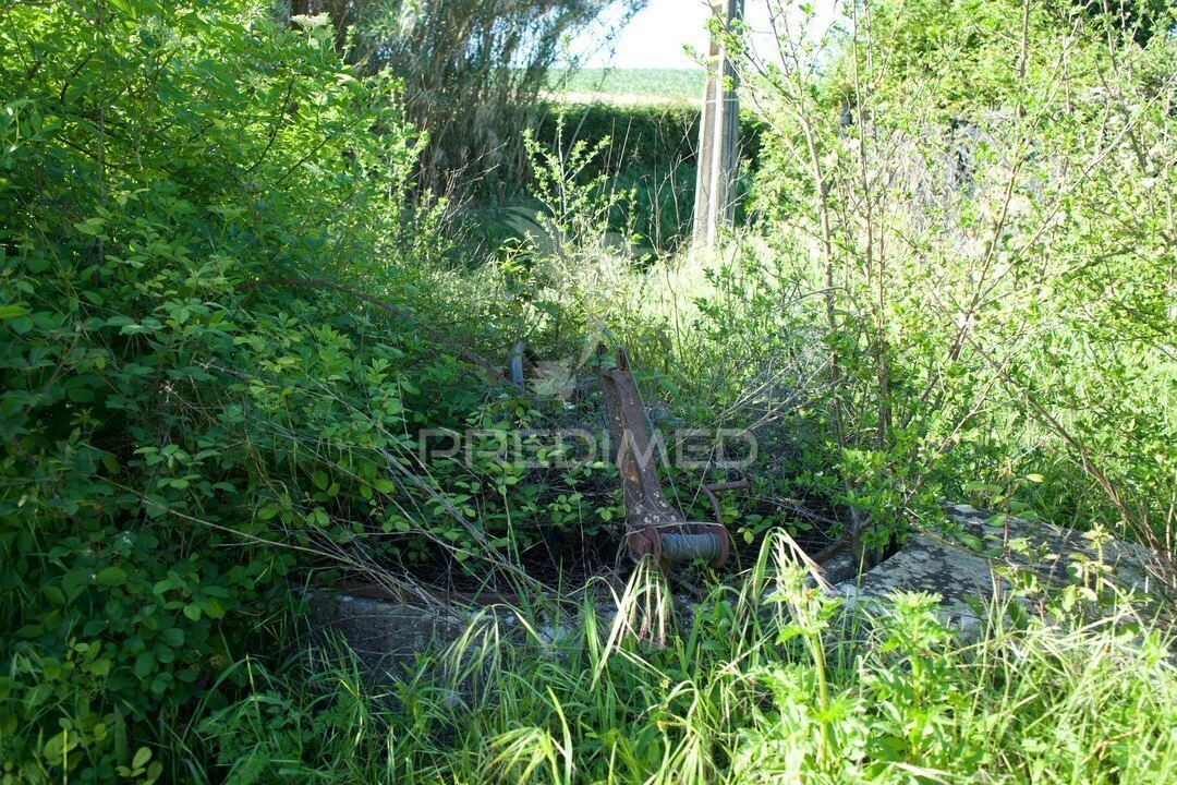 Moradia T3 para Venda em São Vicente do Paul e Vale de Figueira Foto 34