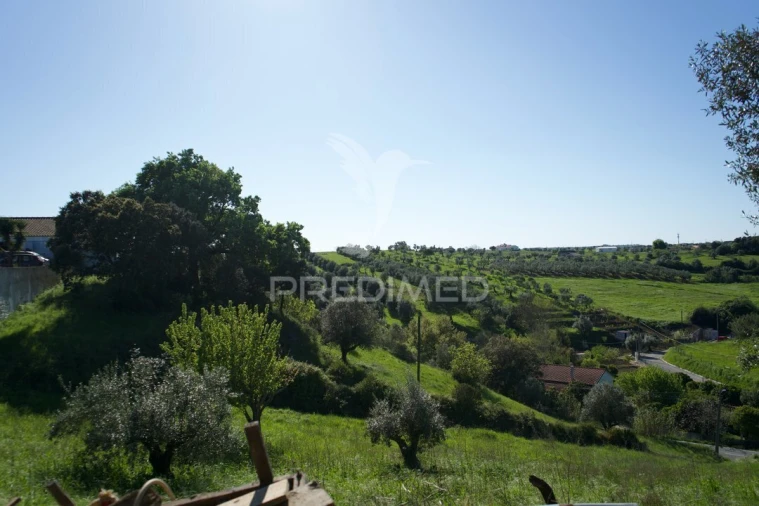 Moradia T3 para Venda em São Vicente do Paul e Vale de Figueira Foto 30