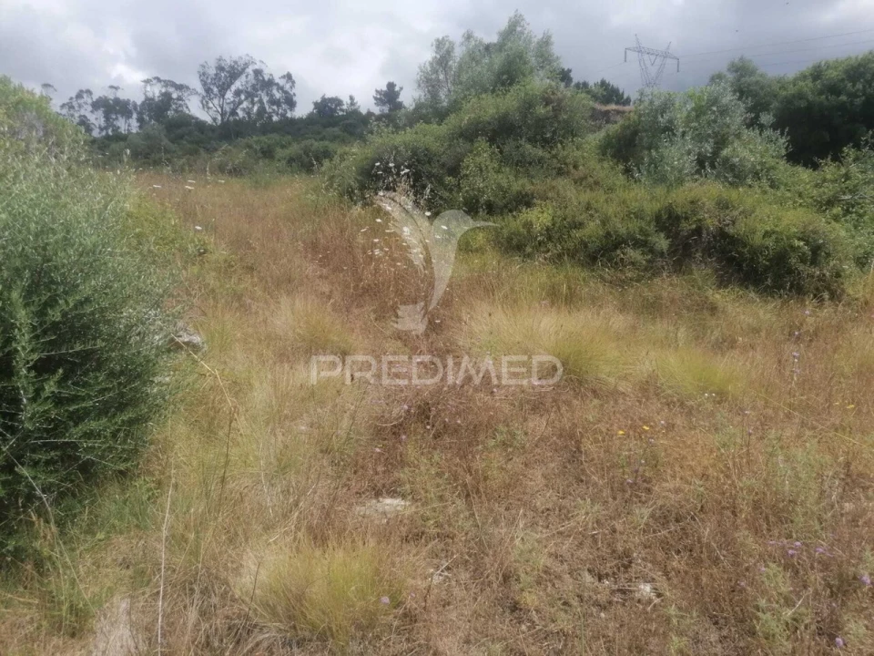 Terreno para Venda em Santo Quintino Foto 30