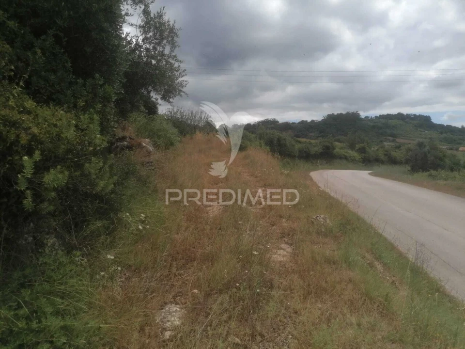 Terreno para Venda em Santo Quintino Foto 28