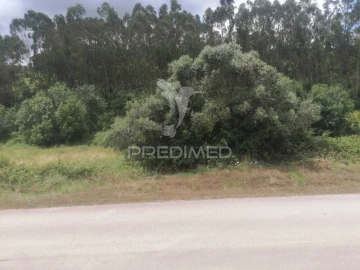 Terreno para Venda em Santo Quintino