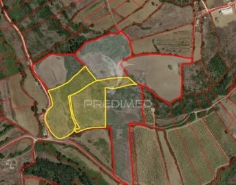 Terreno para Venda em Santo Quintino